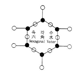 HEXAGONAL WATER logo