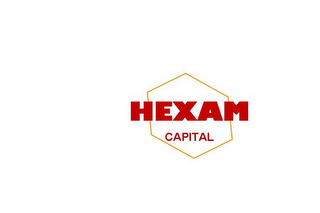 HEXAM CAPITAL logo