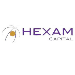 HEXAM CAPITAL logo