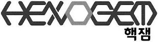 HEXGEM logo