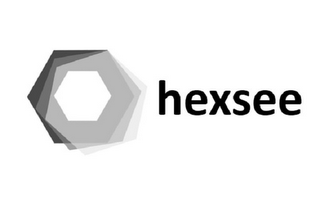 HEXSEE logo