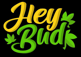 HEY BUD logo
