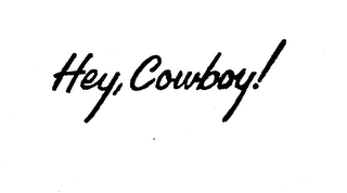 HEY, COWBOY! logo
