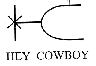 HEY COWBOY logo