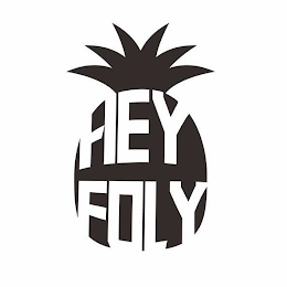 HEY FOLY logo