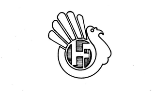 HF logo