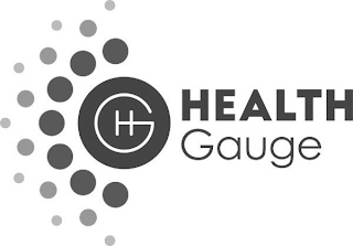HG HEALTH GAUGE logo