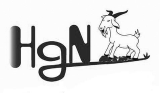 HGN logo