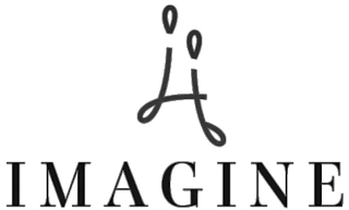 HI IMAGINE logo