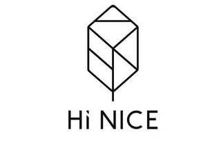 HI NICE logo