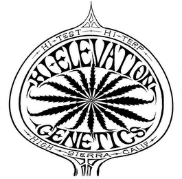 HI TEST HI TERP HIGH SIERRA CALIF HI ELEVATION GENETICS logo