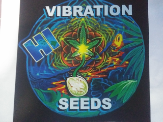 HI VIBRATION SEEDS logo