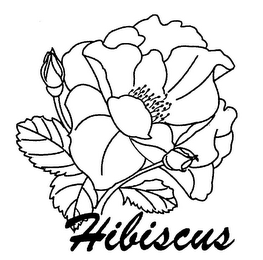 HIBISCUS logo