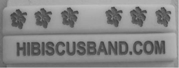HIBISCUSBAND.COM logo