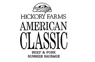 HICKORY FARMS AMERICAN CLASSIC BEEF & PORK SUMMER SAUSAGE logo