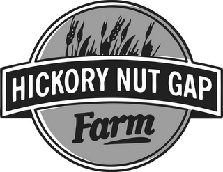 HICKORY NUT GAP FARM logo