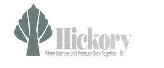 HICKORY WHERE BUSINESS AND PLEASURE GROW TOGETHER logo