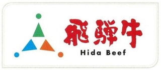 HIDA BEEF logo
