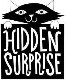 HIDDEN SURPRISE logo