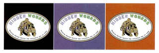 HIDDEN WOUNDS HELPING HEROES BATTLE THE INVISIBLE WAR AT HOME logo