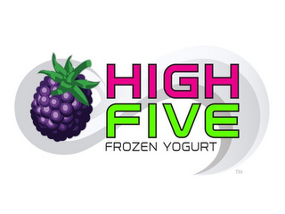 HIGH FIVE FROZEN YOGURT logo