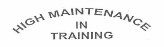 HIGH MAINTENANCE IN TRAINING logo