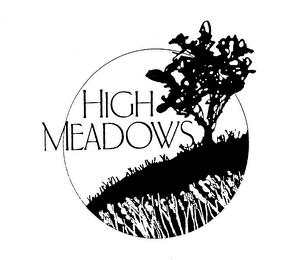 HIGH MEADOWS logo