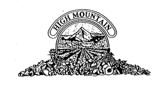 HIGH MOUNTAIN logo
