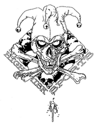 HIGH RISK SPORTS logo