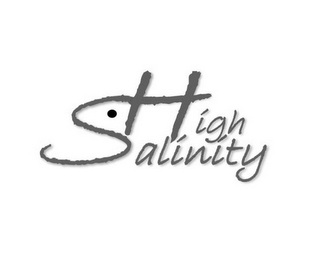 HIGH SALINITY logo