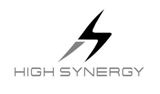 HIGH SYNERGY logo