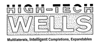 HIGH-TECH WELLS MULTILATERALS, INTELLIGENT COMPLETIONS, EXPANDABLES logo