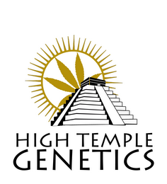 HIGH TEMPLE GENETICS logo