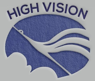 HIGH VISION logo