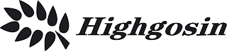 HIGHGOSIN logo