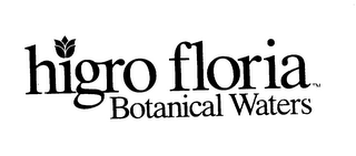 HIGRO FLORIA BOTANICAL WATERS logo