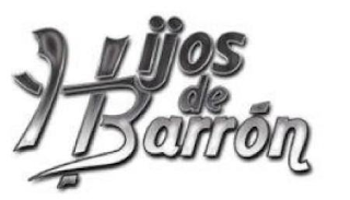 HIJOS DE BARRÓN logo