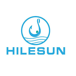 HILESUN logo