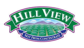 HILL VIEW NOT FROM CONCENTRATE logo