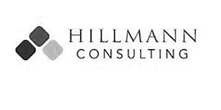 HILLMANN CONSULTING logo