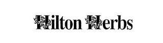 HILTON HERBS logo