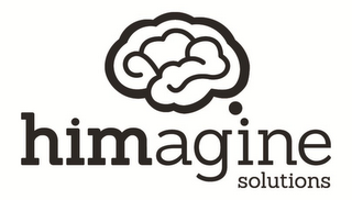 HIMAGINE SOLUTIONS logo