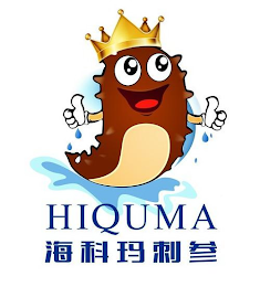 HIQUMA logo
