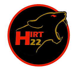 HIRT 22 logo