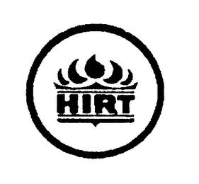 HIRT logo