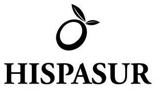 HISPASUR logo
