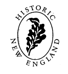 HISTORIC NEW ENGLAND logo
