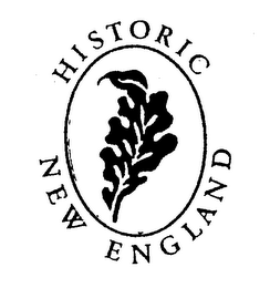 HISTORIC NEW ENGLAND logo