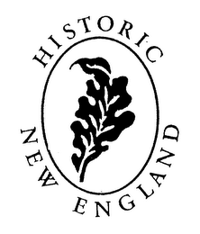 HISTORIC NEW ENGLAND logo