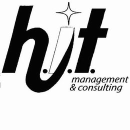 H.I.T. MANAGEMENT & CONSULTING logo